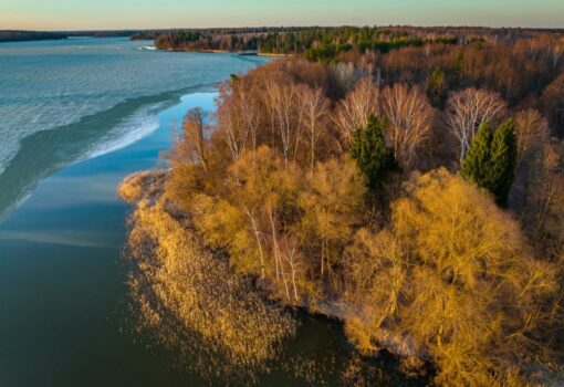 Фото mos.ru природа осень вода отдых