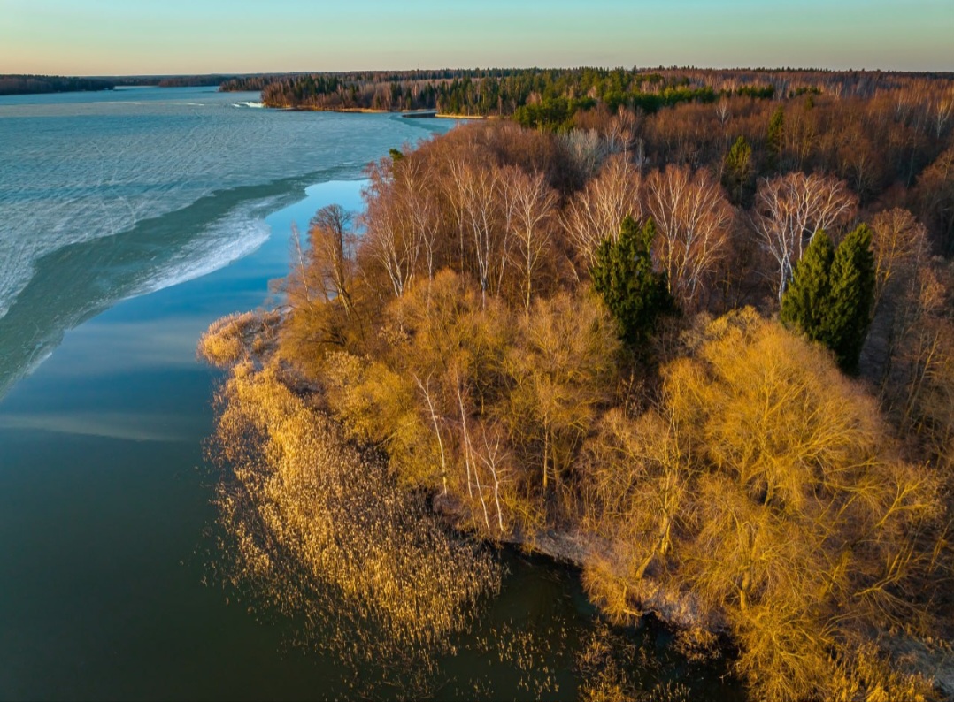 Фото mos.ru природа осень вода отдых