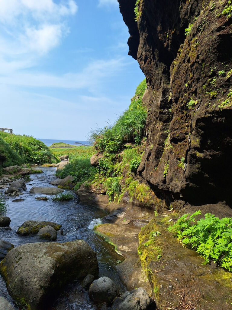 Сахалин Фото «Московской правды»