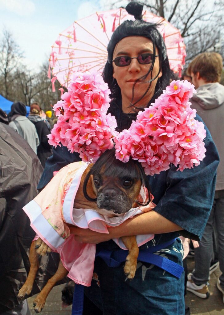 собака, бульдог, фото Михаила Ковалёва