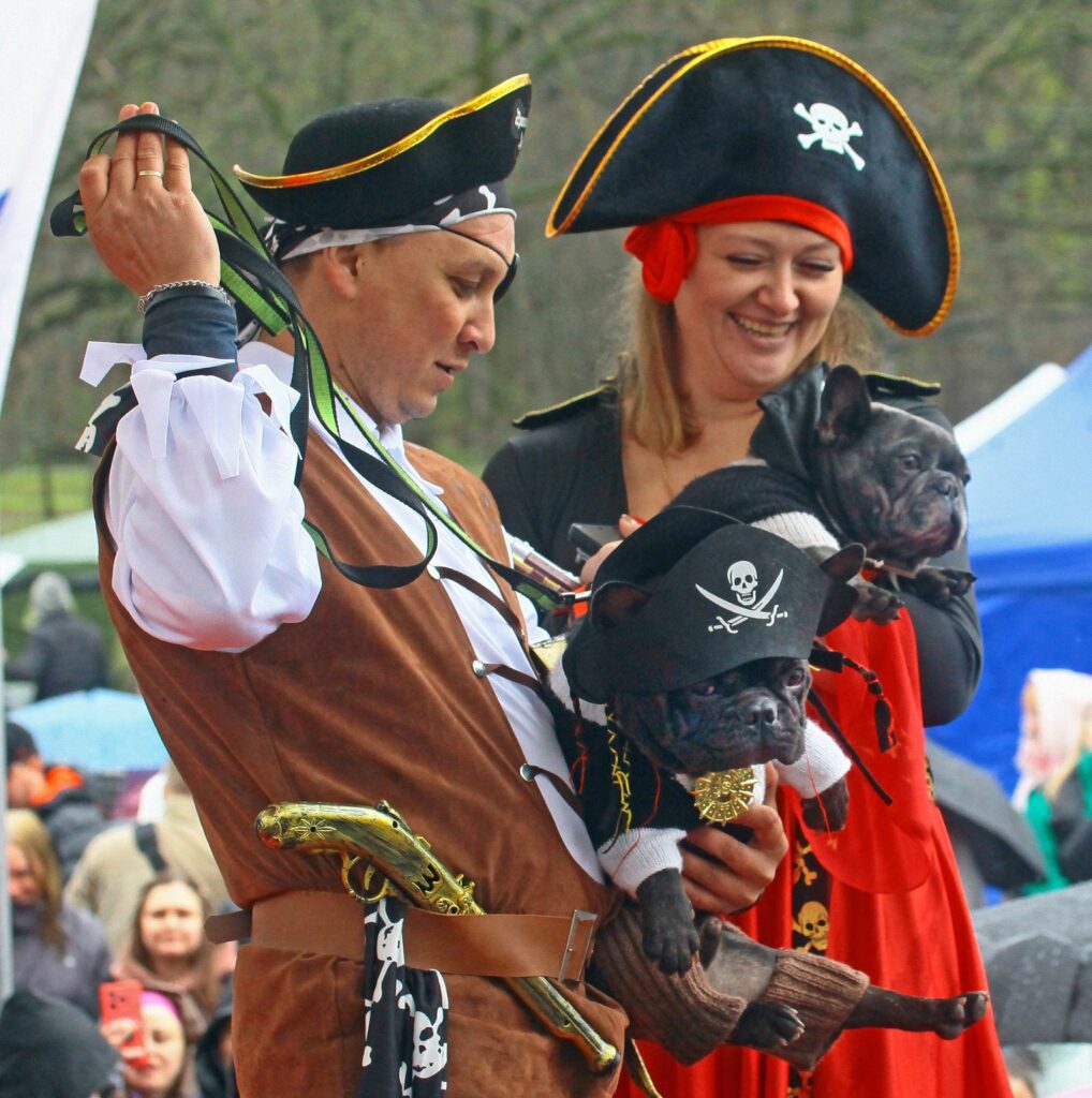 собака, бульдог, фото Михаила Ковалёва