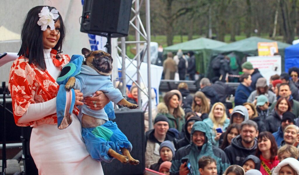 собака, бульдог, фото Михаила Ковалёва