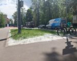 тополиный пух, фото Яны Маевской