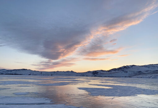 Фото Ольги Волковой
